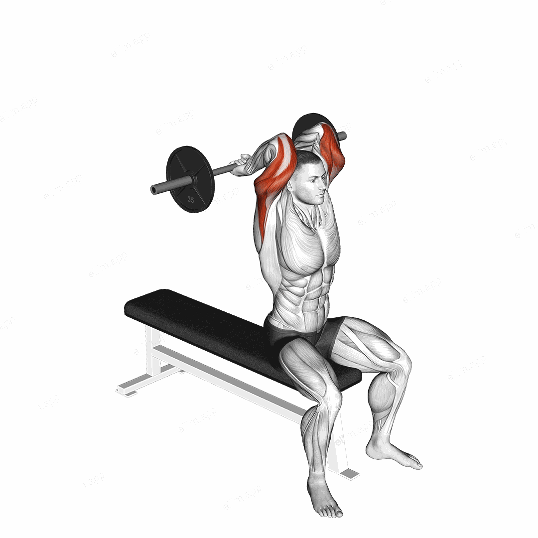 Barbell Seated Close grip Behind Neck Triceps Extension exercise targeting Upper Arms