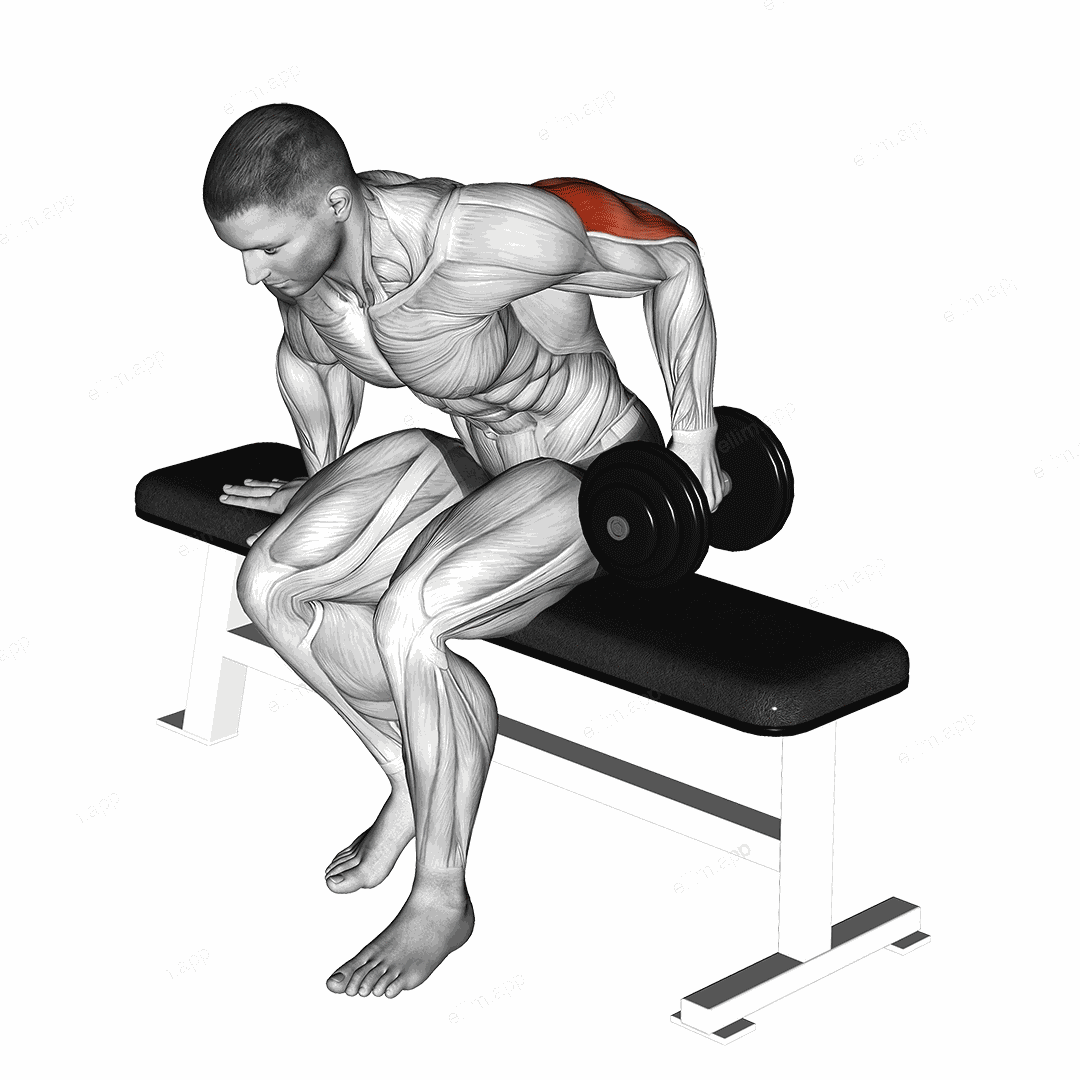 Dumbbell Seated One Arm Kickback exercise targeting Upper Arms and Triceps Brachii