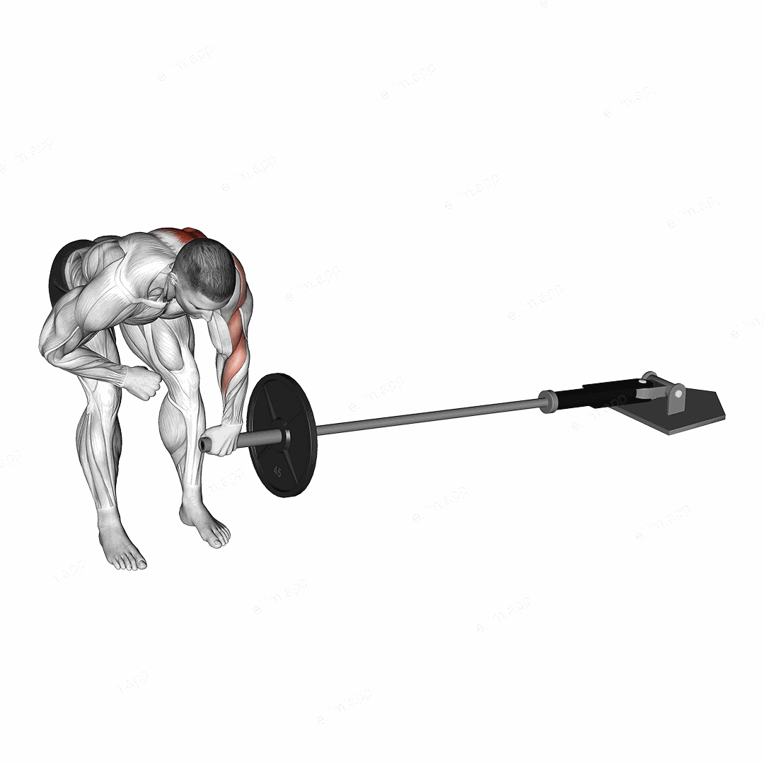 Landmine One Arm Bent Over Row exercise targeting Back