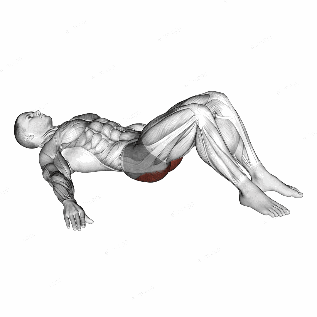 Low Glute Bridge on floor exercise targeting Hips and Gluteus Maximus