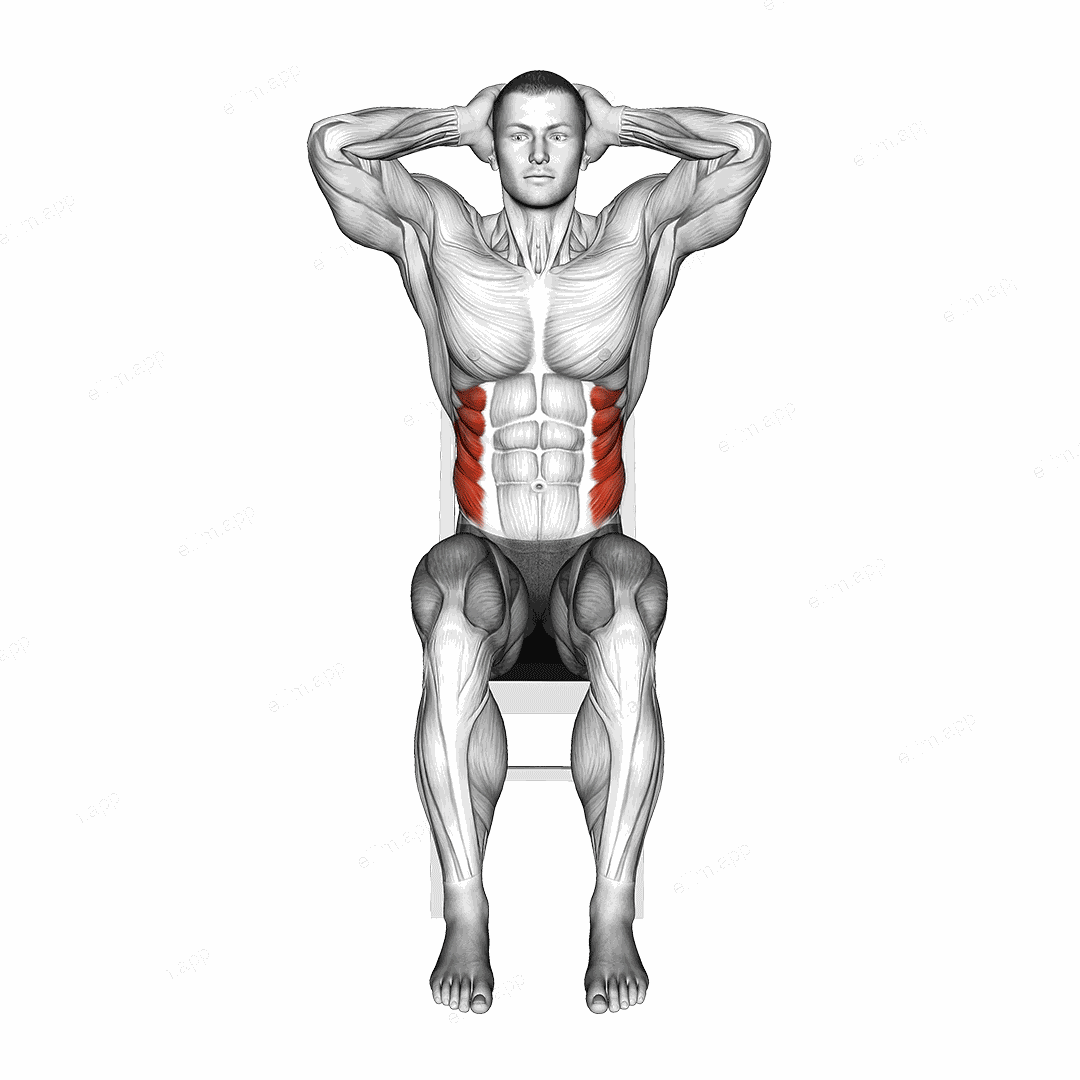 Sitting Side Bend on a chair exercise targeting Waist