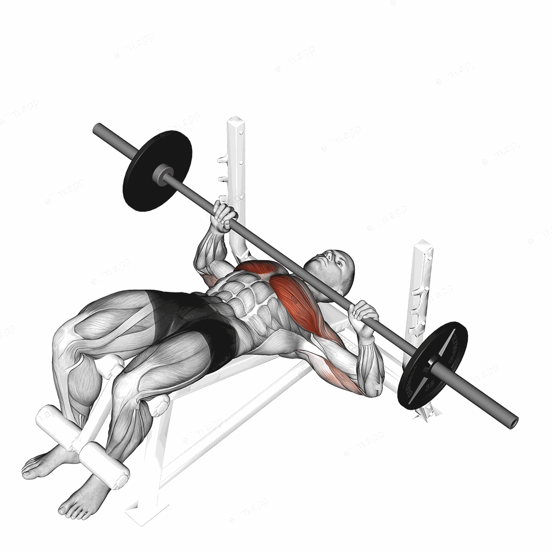 Barbell Decline Bench Press exercise targeting Chest and Pectoralis Major Sternal Head