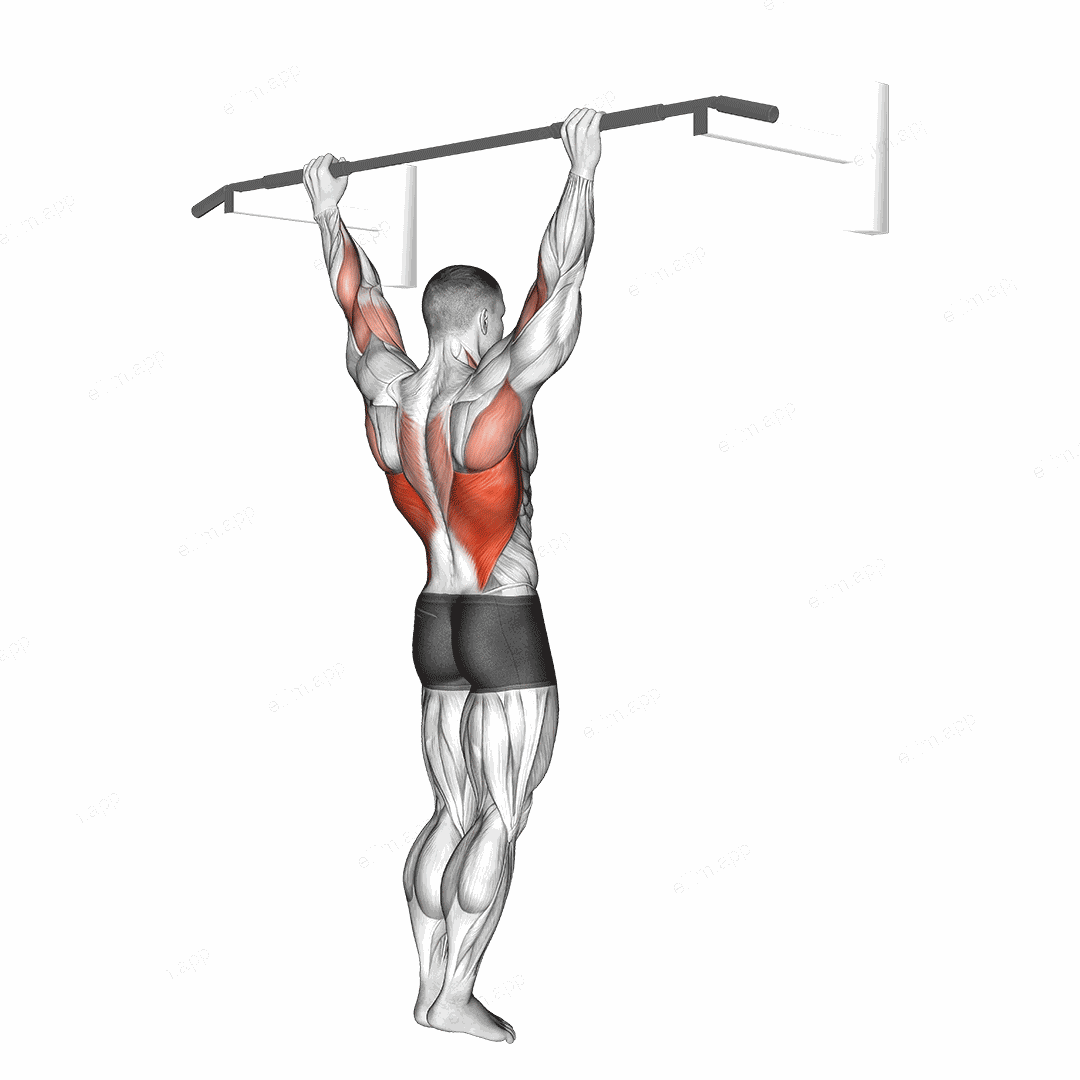 Wide Grip Pull Up exercise targeting Back