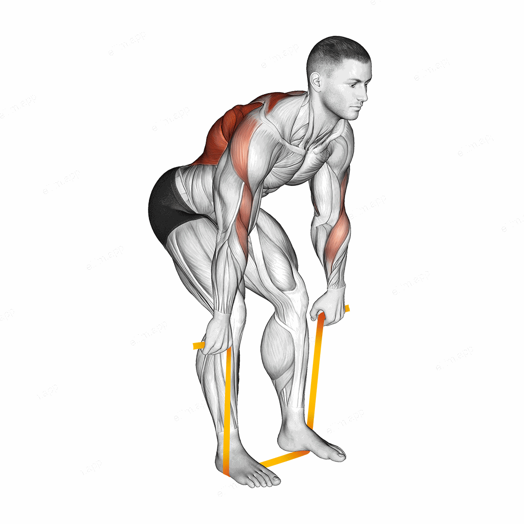 Resistance Band Bent Over Row exercise targeting Back
