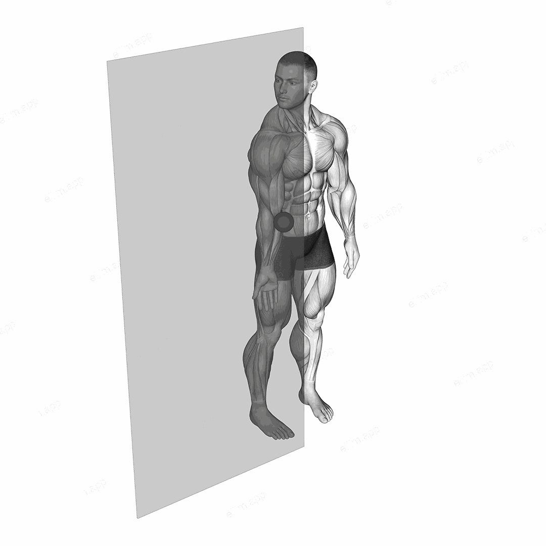 Roll Ball Forearm Pronator exercise targeting Forearms