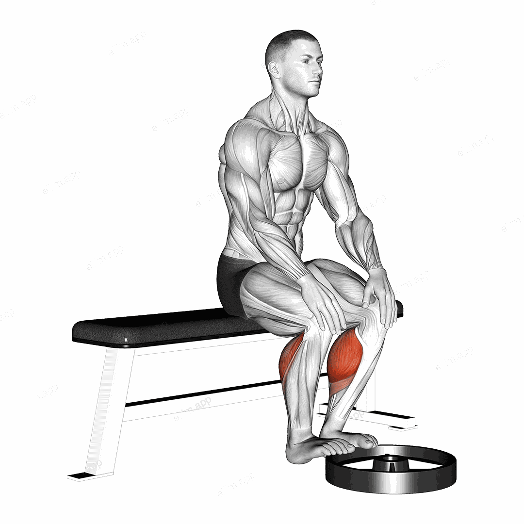Elevated Seated Calf Raise exercise targeting Calves