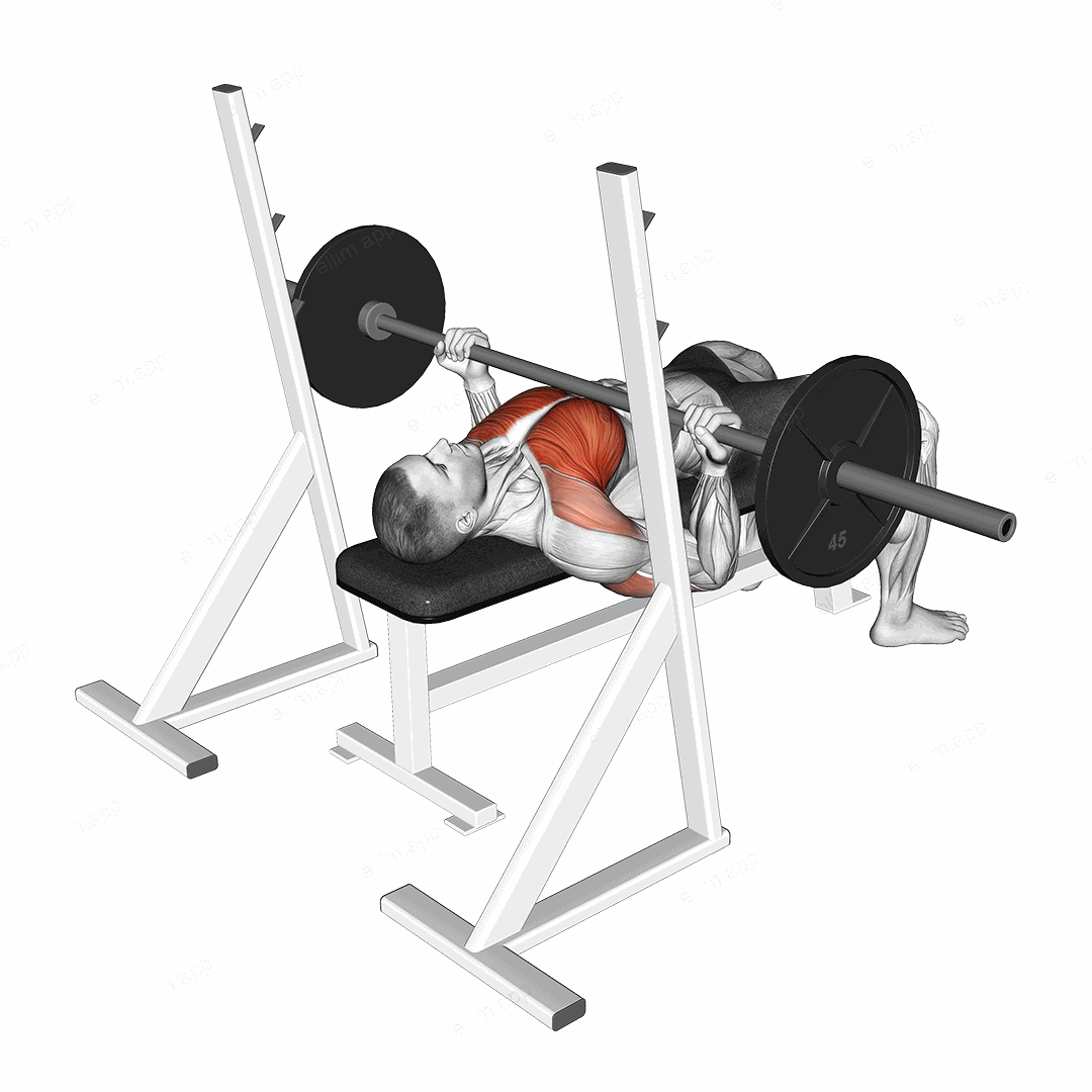 Barbell Reverse Grip Bench Press exercise targeting Chest and Pectoralis Major Sternal Head