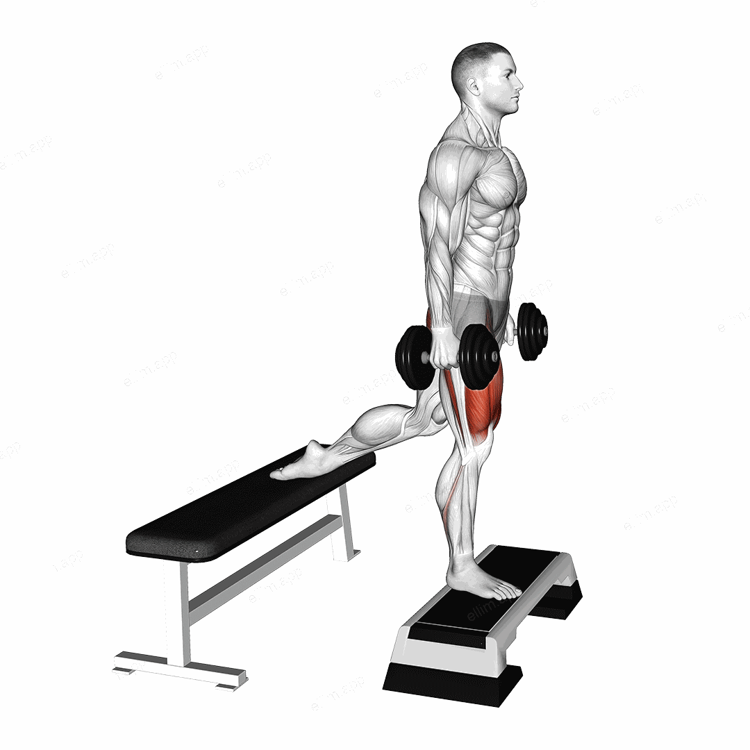 Dumbbell Bulgarian Split Squat from Deficit exercise targeting Thighs