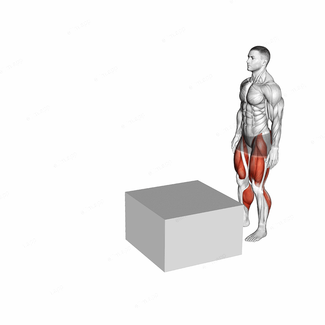 Jump Box Over exercise targeting Plyometrics