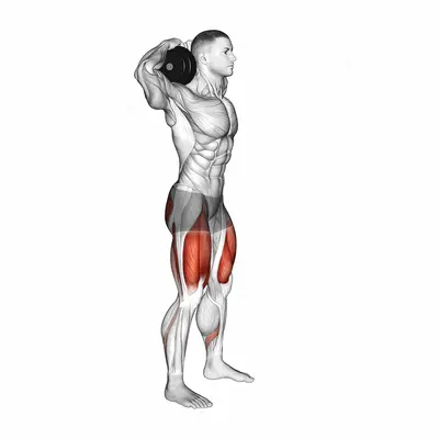 Dumbbell Good Morning Squat exercise targeting Erector Spinae and Gluteus Maximus