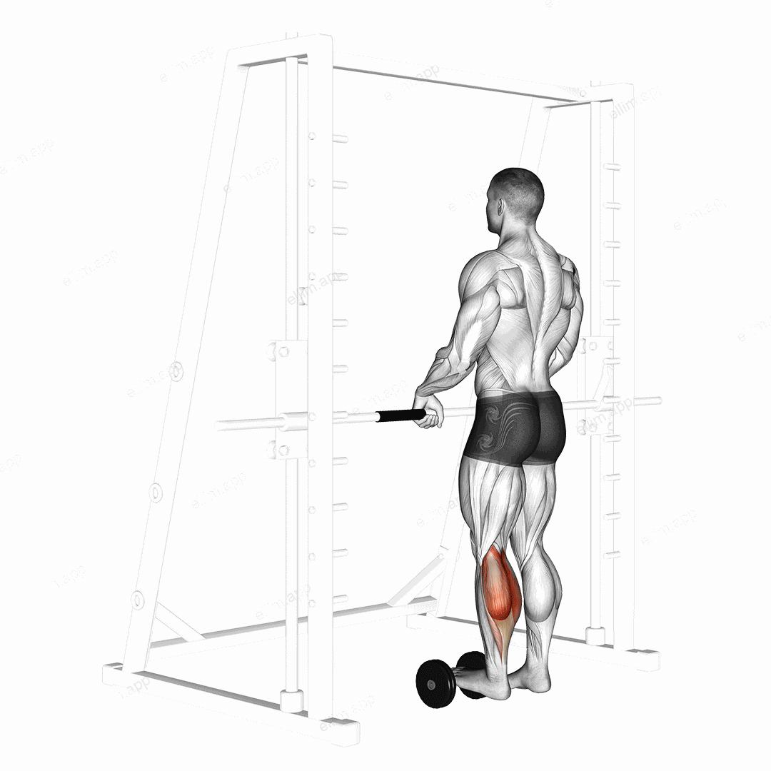 Single Leg Calf Raise (on a dumbbell) exercise targeting Calves and Gastrocnemius