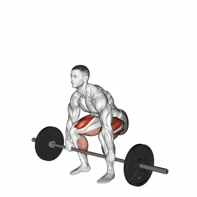 Barbell Deadlift exercise targeting Hips and Gluteus Maximus