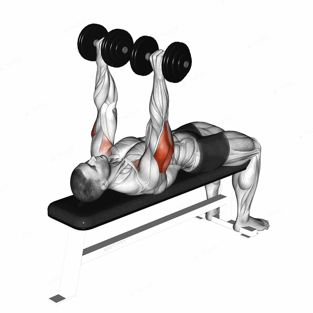 Dumbbell Tate Press exercise targeting Upper Arms and Triceps Brachii