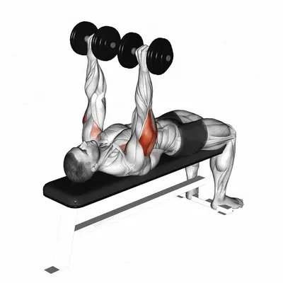 Dumbbell Tate Press exercise targeting Upper Arms and Triceps Brachii