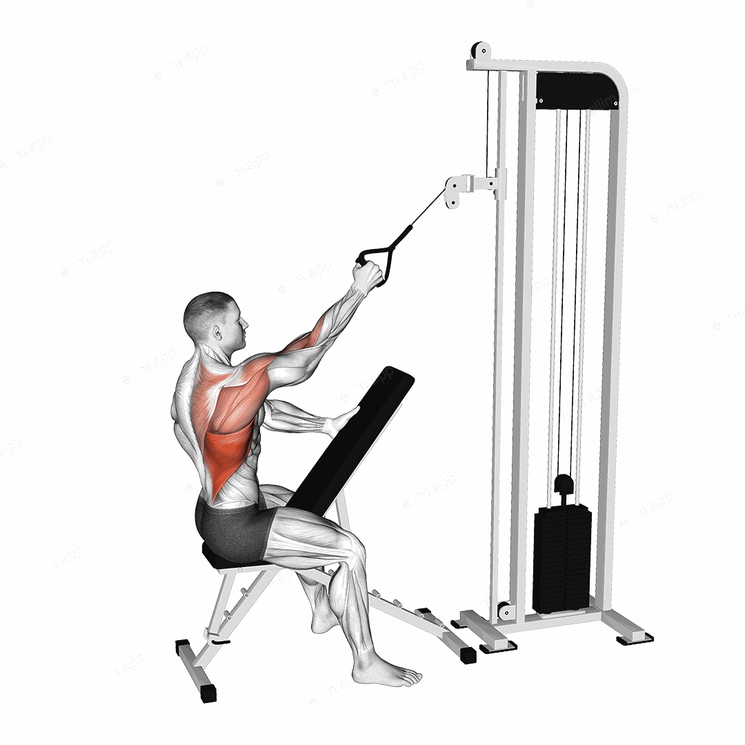 Cable Single Arm High Row exercise targeting Back