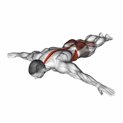 Scorpion Stretch exercise targeting Stretching