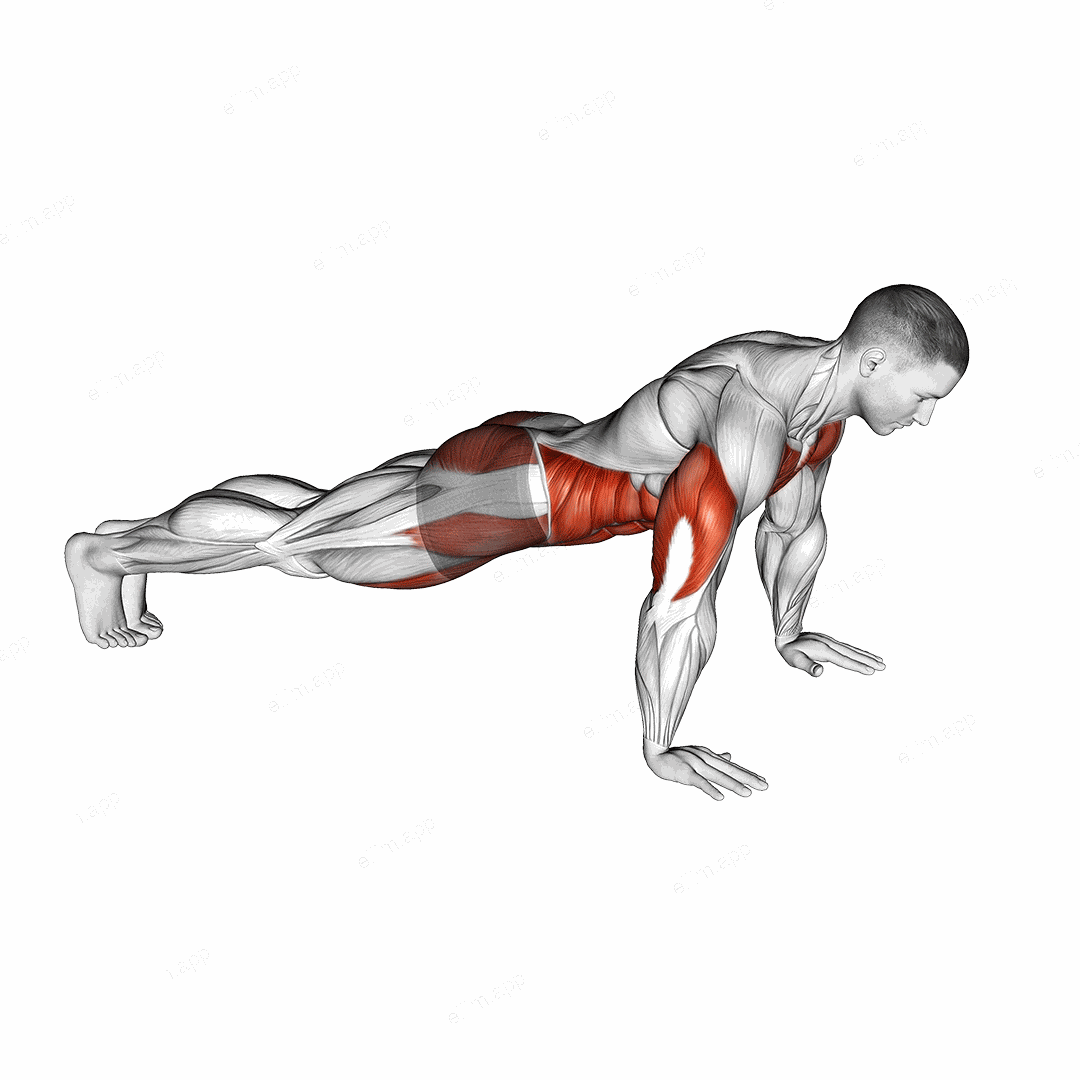 Push-up to Knee Tap exercise targeting Plyometrics