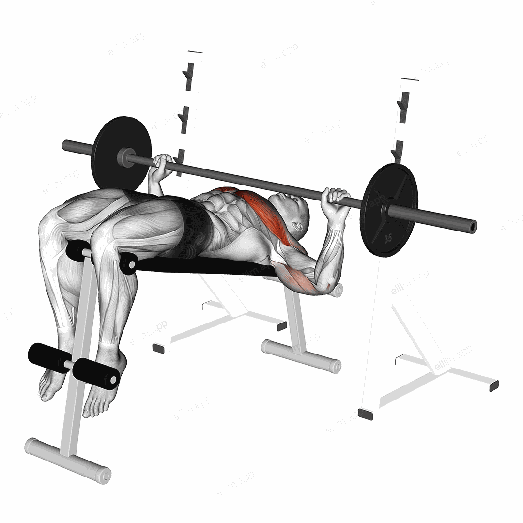 Barbell Decline Wide grip Press exercise targeting Chest