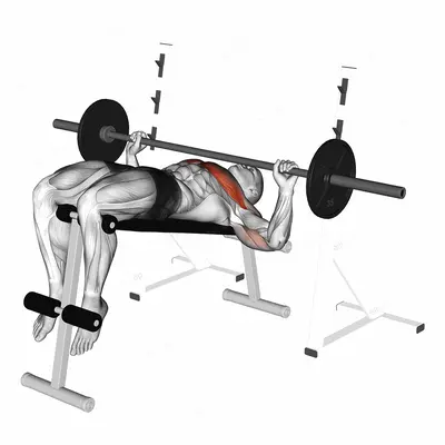 Barbell Decline Wide grip Press exercise targeting Chest