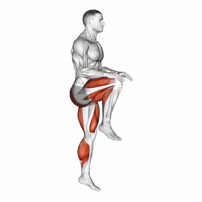 High Knee Run exercise targeting Calves and Hips