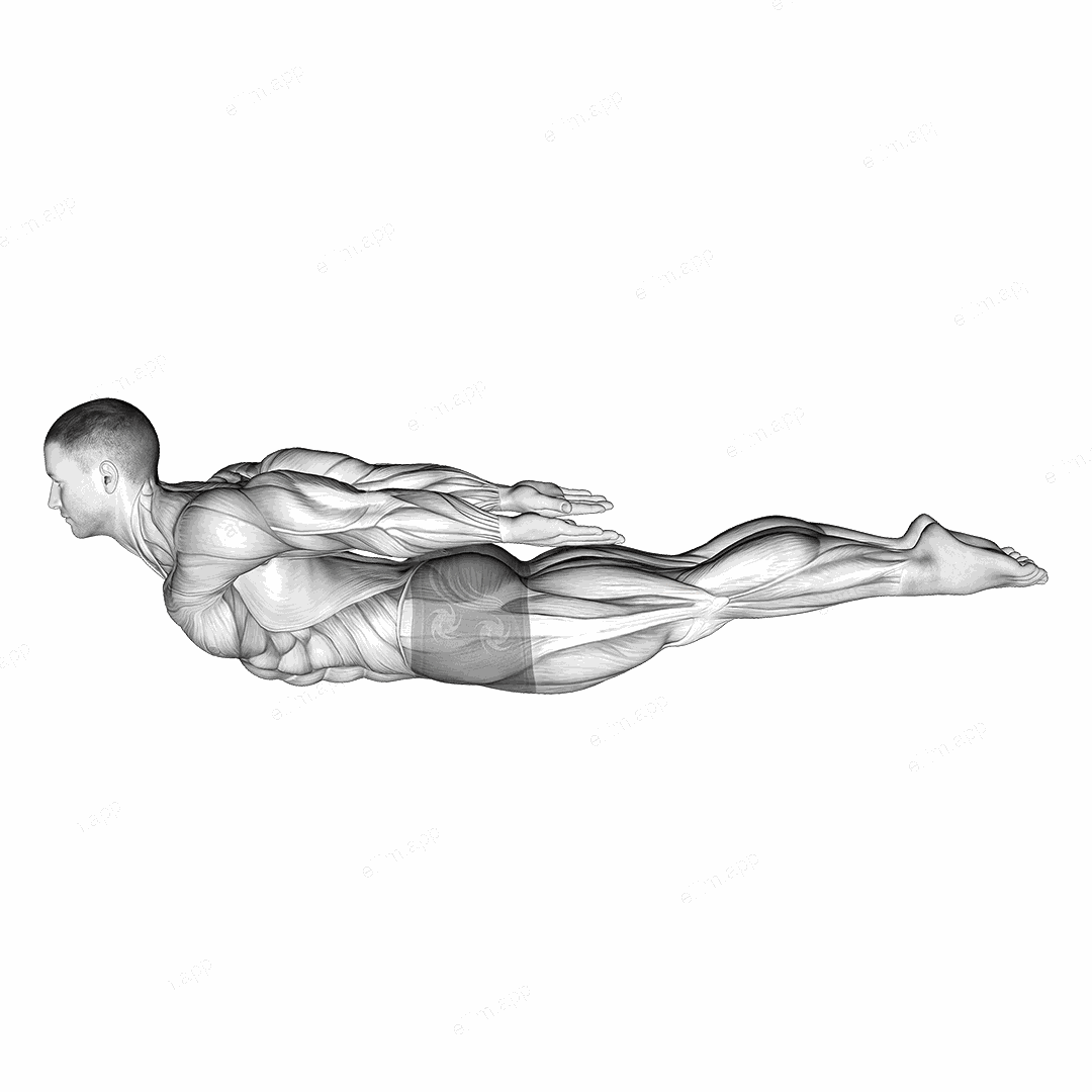 Locust Yoga Pose (Iron Man Pose) exercise targeting Back and Erector Spinae