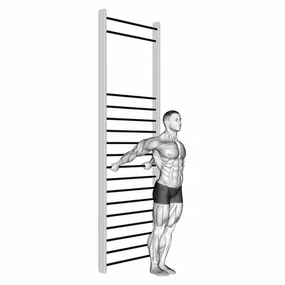 Standing Chest Stretch (with Training Wall Bars) exercise targeting Chest