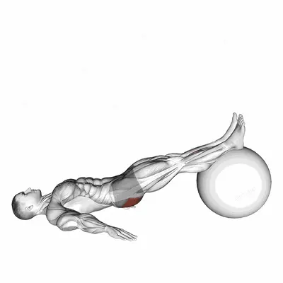 Exercise Ball One Legged Diagonal Kick Hamstring Curl exercise targeting Hips and Gluteus Maximus