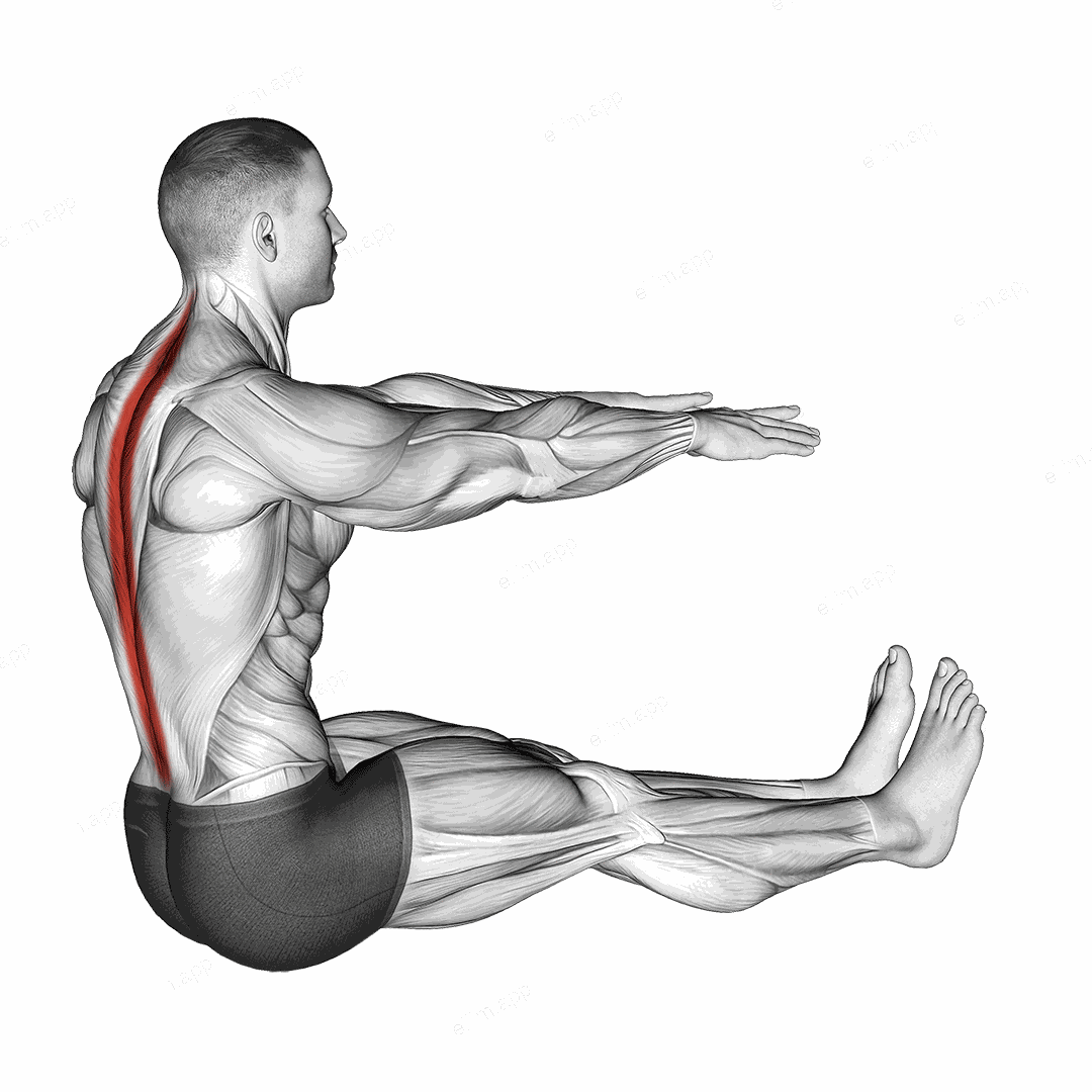 Spine Stretch exercise targeting Back and Erector Spinae