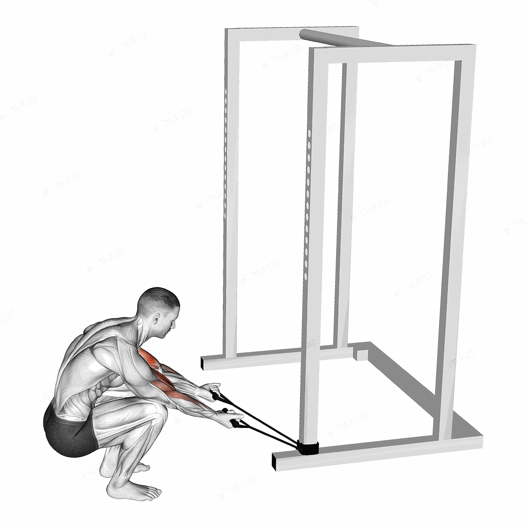 Band Kneeling Preacher Curl exercise targeting Upper Arms and Biceps Brachii