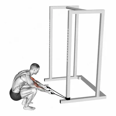 Band Kneeling Preacher Curl exercise targeting Upper Arms and Biceps Brachii