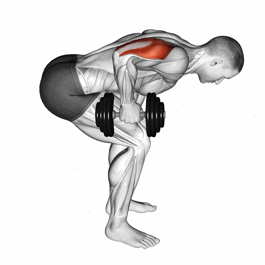 Dumbbell Standing Bent Over One Arm Triceps Extension exercise targeting Upper Arms