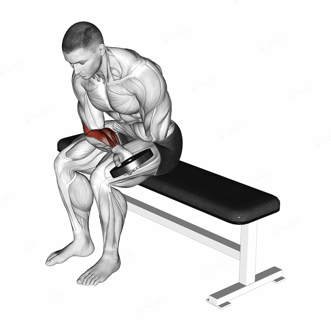 Weighted Seated One Arm Wrist Curl exercise targeting Forearms and Wrist Flexors