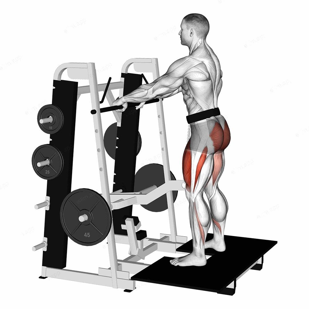 Lever Belt Squat exercise targeting Thighs