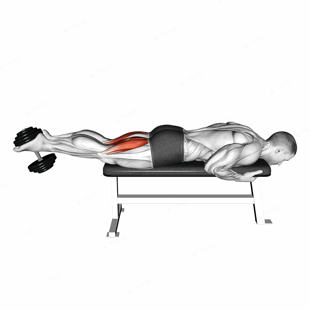 Dumbbell Lying Leg Curl exercise targeting Thighs