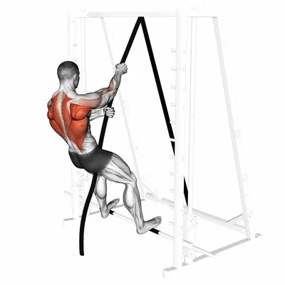 London Bridge exercise targeting Back and Infraspinatus