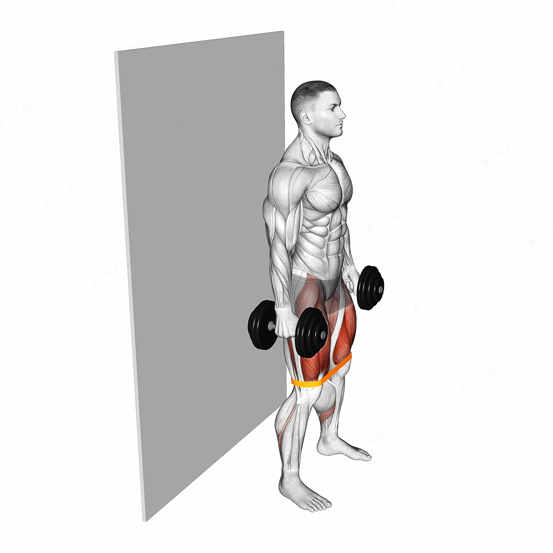 Dumbbell Banded Wall Sit exercise targeting Thighs