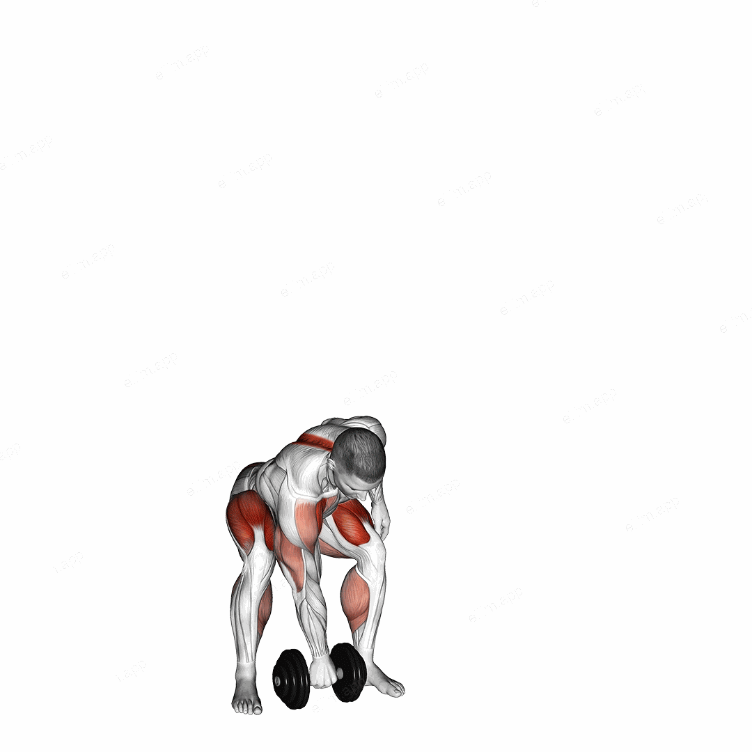 Dumbbell One Arm Snatch exercise targeting Deltoid Anterior and Erector Spinae