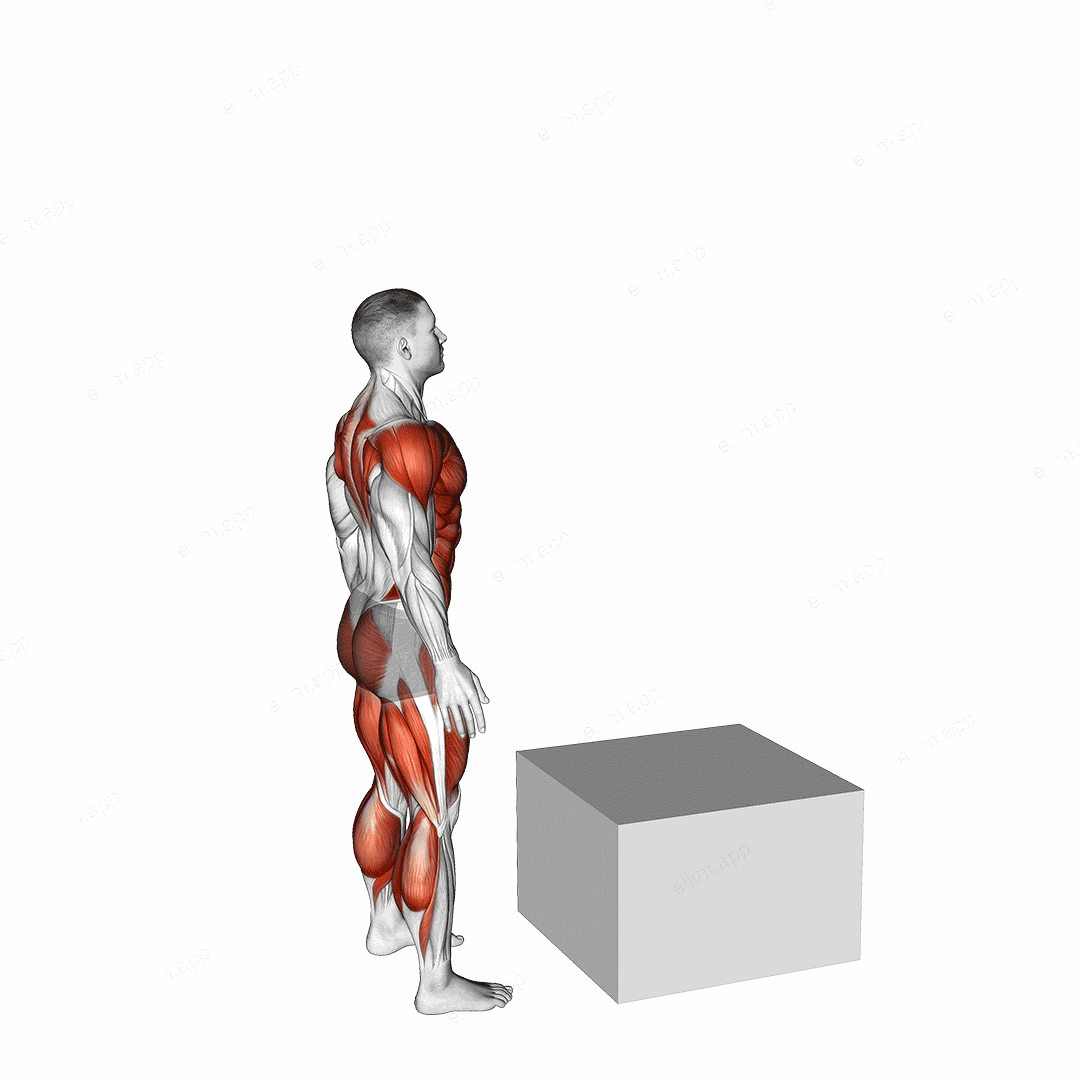 Jump Box exercise targeting Plyometrics