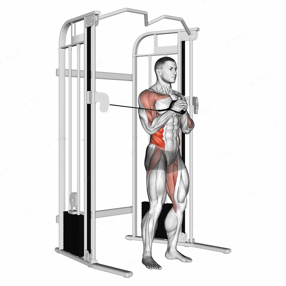 Cable vertical Pallof Press exercise targeting Waist and Obliques