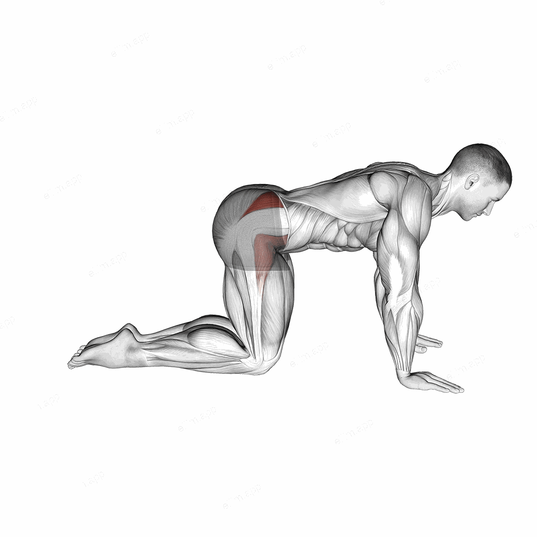 Bent Leg Side Kick (kneeling) exercise targeting Hips and Gluteus Medius
