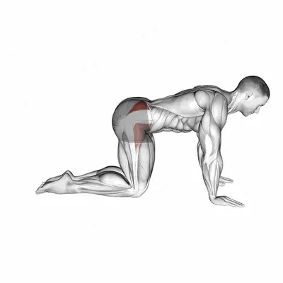 Bent Leg Side Kick (kneeling) exercise targeting Hips and Gluteus Medius