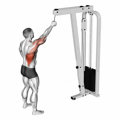 Cable One Arm Pulldown exercise targeting Back and Latissimus Dorsi