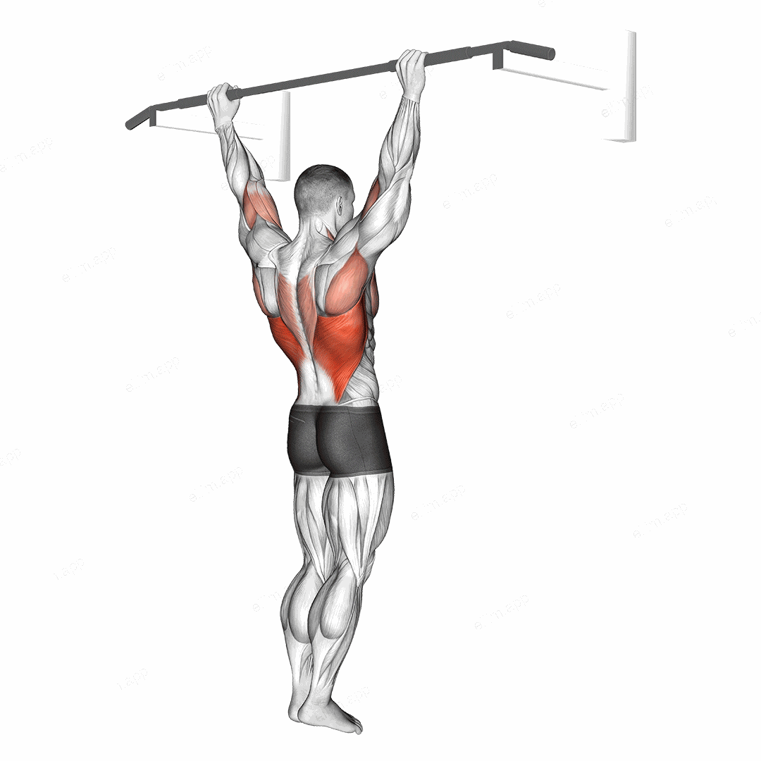 Wide Grip Rear Pull Up exercise targeting Back