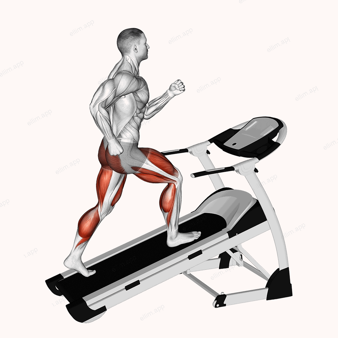 Walking on Incline Treadmill exercise targeting Cardio