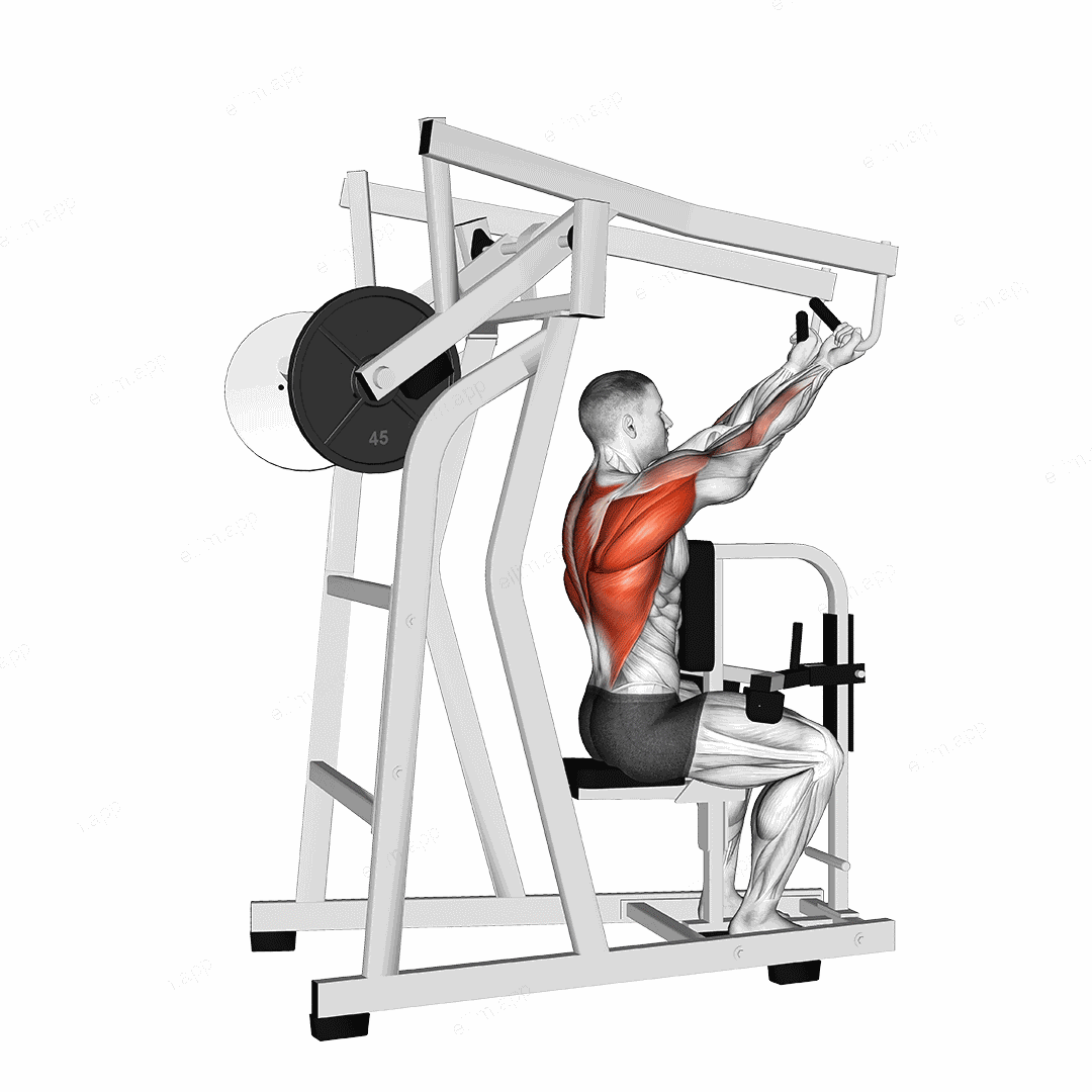 Lever Reverse Grip High Row (plate loaded) exercise targeting Back