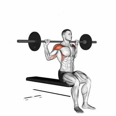 Barbell Seated Behind Head Military Press exercise targeting Shoulders and Deltoid Anterior