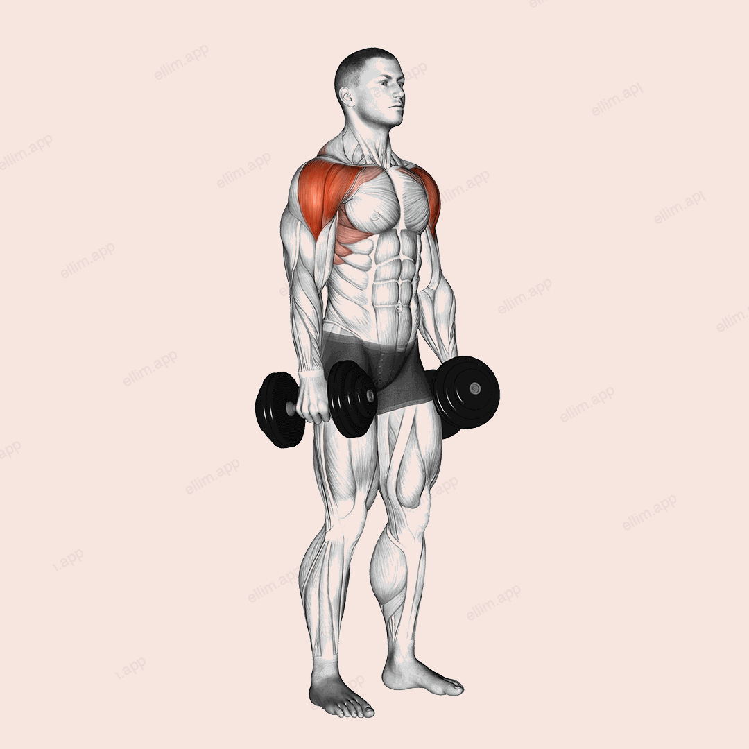 Dumbbell Lateral to Front Raise exercise targeting Shoulders and Deltoid Anterior