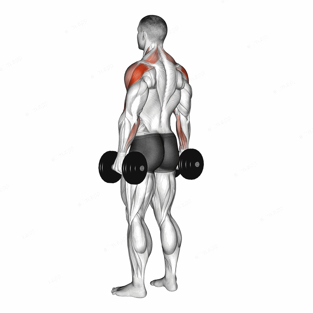 Dumbbell Rear Delt Raise exercise targeting Shoulders and Deltoid Posterior