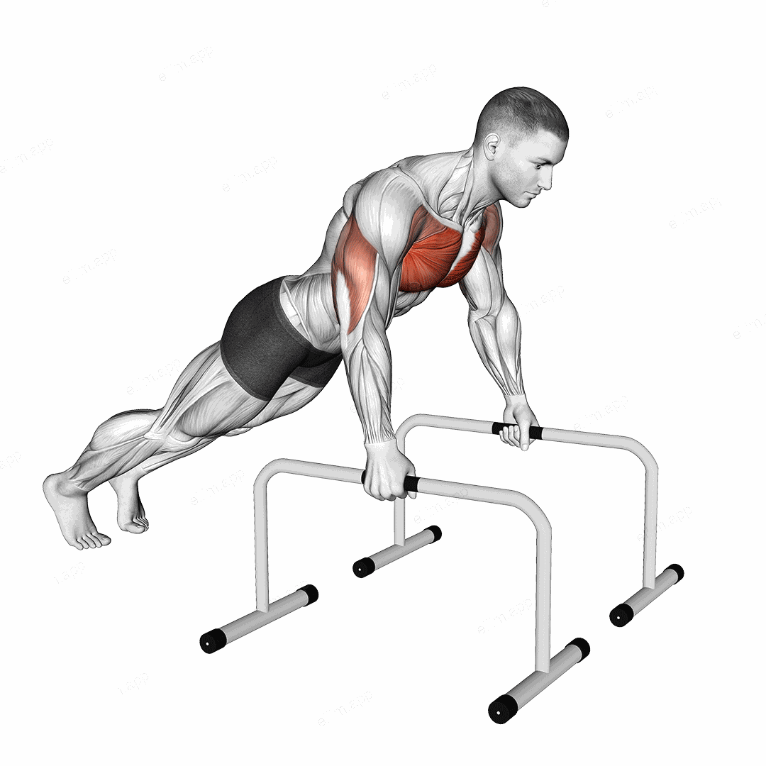 Deep Push-up on Parallel Bars exercise targeting Chest and Pectoralis Major Clavicular Head