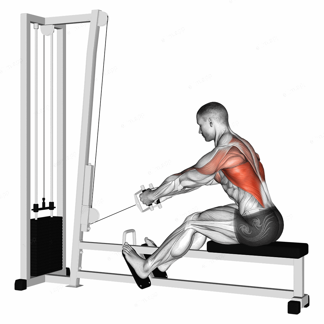 Cable Elevated Row exercise targeting Back and Latissimus Dorsi